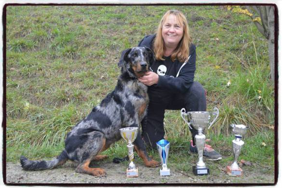 Elevage Saint Petronille Beauceron Ou Berger De Beauce Elevage Saint Petronille Beauceron Ou Berger De Beauce